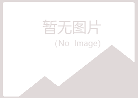 黄山黄山从彤服务有限公司